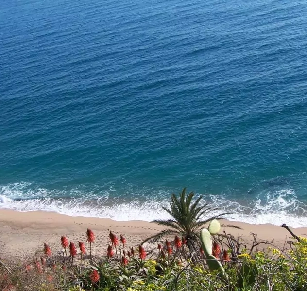 <p>Sant Pol de Mar / Barcelona</p>
<p>Urbanización de 34 casas unifamiliares</p>